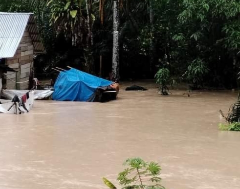 Ketinggian Air  Capai 1,5 Meter, Korban Banjir di Gunung Toar Kuansing Capai 250 KK